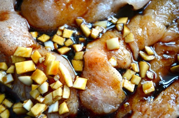 Slow Cooker Teriyaki by Rachel Schultz