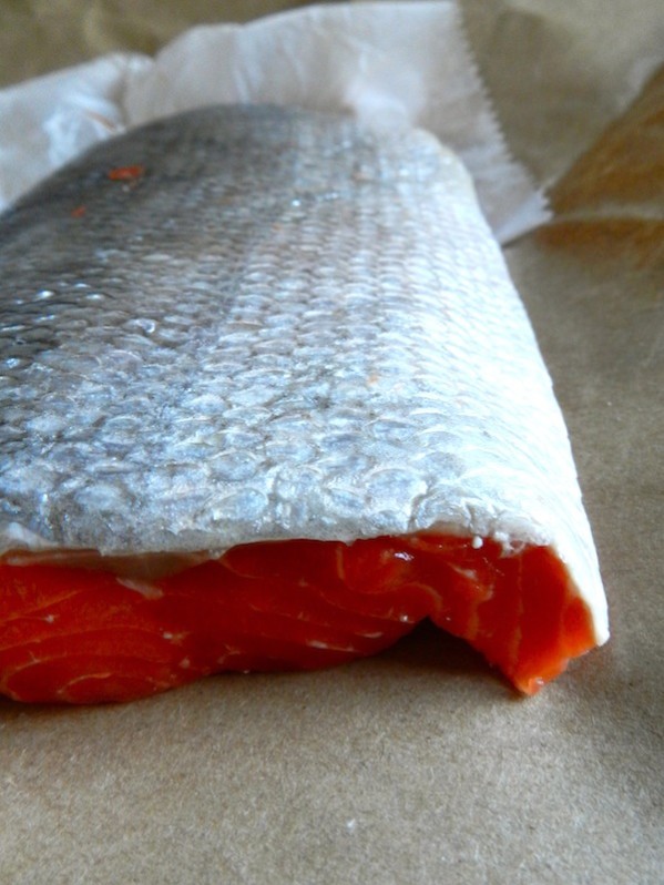 How To Cook Salmon Perfectly by Rachel Schultz