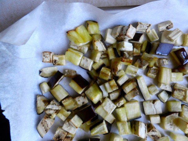 Caramelized Onion, Eggplant & Chicken Gemelli by Rachel Schultz