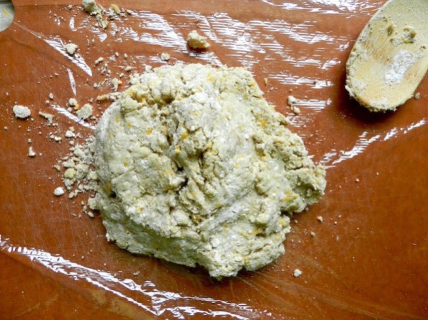 "Dog Nip" Biscuits by Rachel Schultz