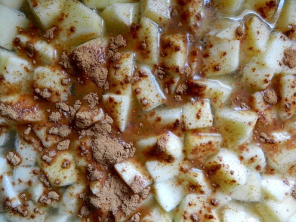 Spiced Apple Pie Oatmeal by Rachel Schultz