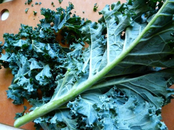 Massaged Kale & Mango Salad by Rachel Schultz