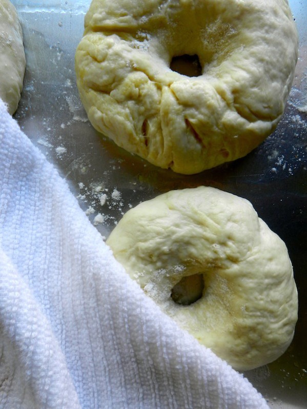 New York Bagels by Rachel Schultz