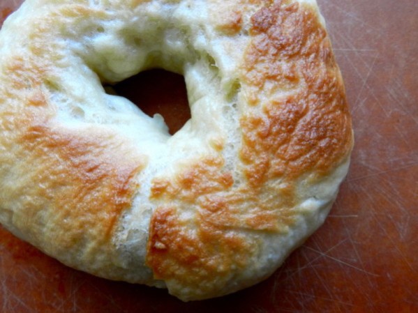 New York Bagels by Rachel Schultz