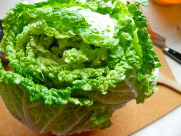 Asian Chicken Coleslaw by Rachel Schultz