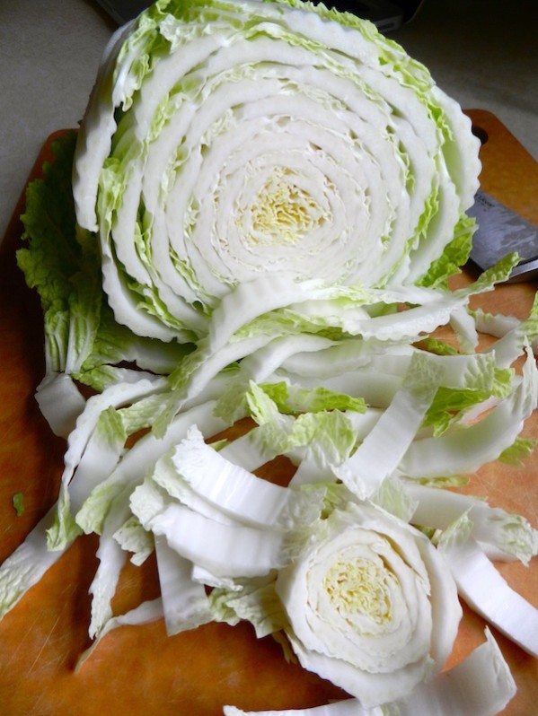 Asian Chicken Coleslaw by Rachel Schultz