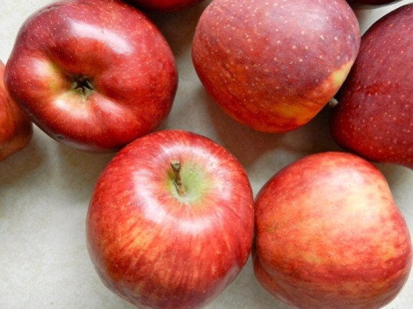 Slow Cooker Homemade Applesauce by Rachel Schultz
