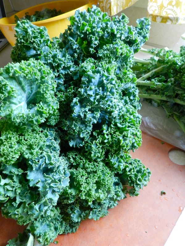 Chicken & Kale Casserole by Rachel Schultz