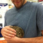 Pet Bunnies