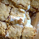 baked smores bars