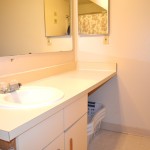 bathroom of the future