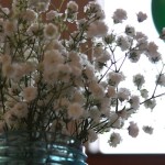 reception centerpieces