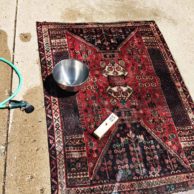 Washing a Persian Rug with Hose and Soap